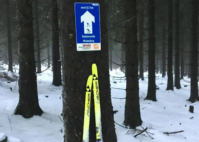 아파트 Ueber Den Daechern Von - Im Bikepark & Mit Ssc!